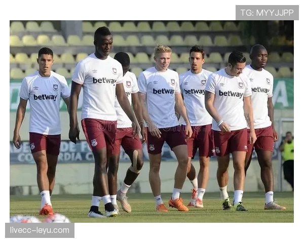 南特队核心球员状态回升，助力球队稳步攀升冲击联赛前列