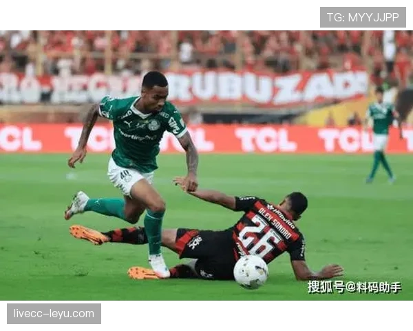 南美足球新赛季打响，明星球员归队引球迷热切关注