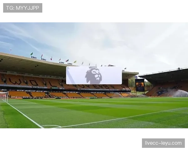 狼队重塑阵容积极备战新赛季，状态回升引球迷期待