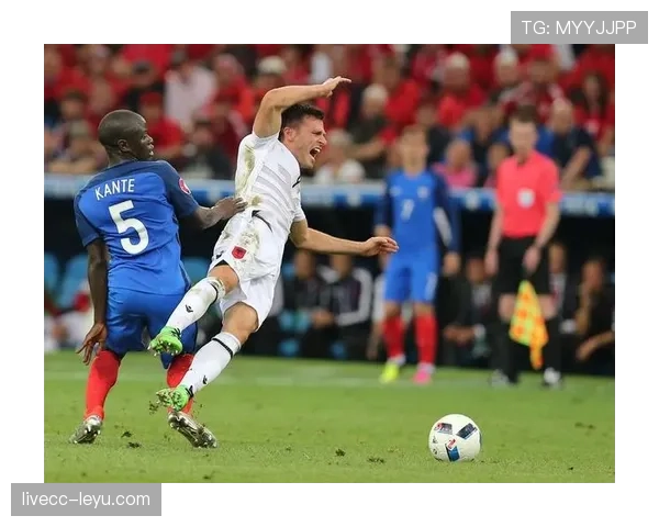 法国队勇夺欧洲杯冠军,球迷街头狂欢共庆荣耀时刻 法国队勇夺欧洲杯冠军,球迷街头狂欢共庆荣耀时刻