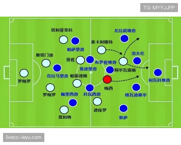 恩佐世界杯表现含金量：关键战贡献与战术价值分析