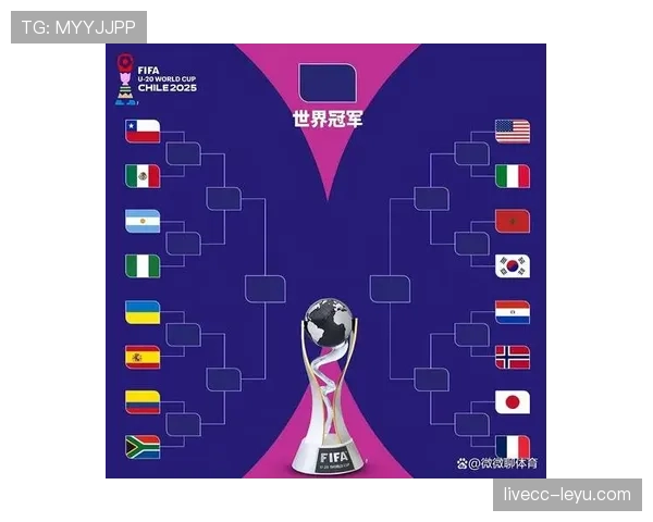 2026世界杯赛果汇总：已结束比赛结果一览